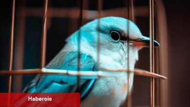 Twitter’dan Seçim Öncesi Türkiye İçin Kritik Açıklama