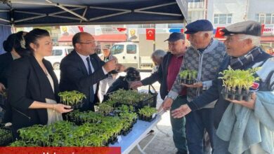 Ücretsiz fideye akın ettiler