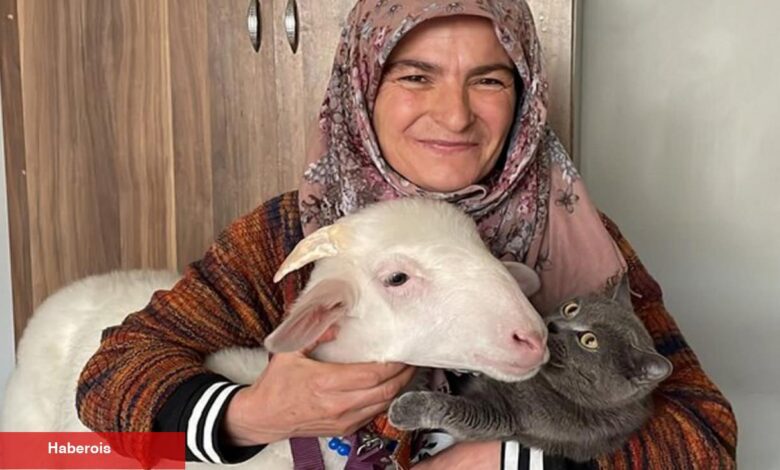 Ümmiye Hoş kuzuyla oy kullanmaya gitmişti! ‘Pamuk’ Lider Erdoğan’ın zaferini kutladı - Haberois Ümmiye Hoş kuzuyla oy kullanmaya gitmişti! ‘Pamuk’ Lider Erdoğan’ın zaferini kutladı