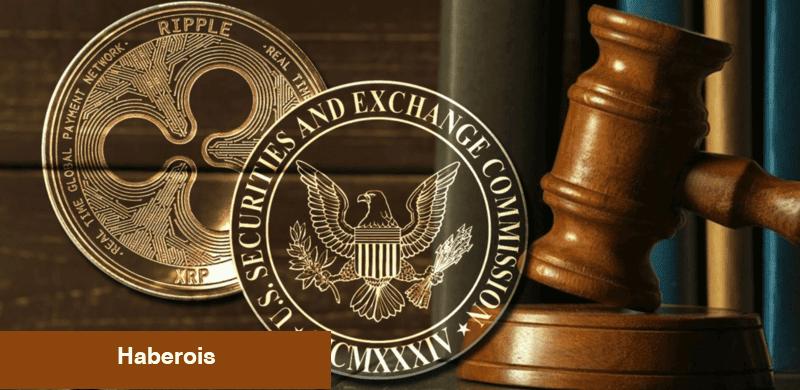 Ünlü CEO: Kurumsal Para Bu Altcoin İçin Yağacak!