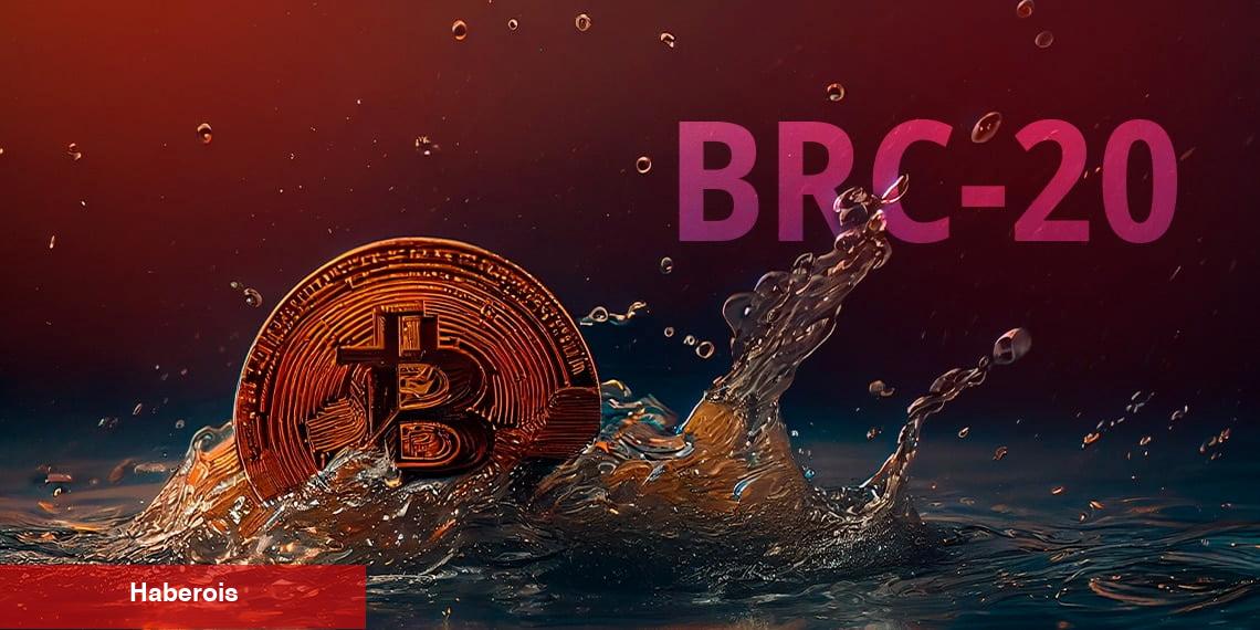 Ünlü CEO’dan Patlayan BRC-20 Coinleri İçin Korkutan Uyarı!