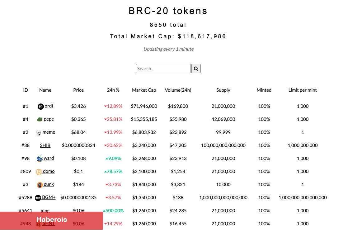 Ünlü CEO’dan Patlayan BRC-20 Coinleri İçin Korkutan Uyarı!