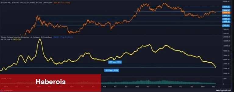Ünlü Kestirimci, Sıradaki Bitcoin Boğası İçin Tarih Verdi!