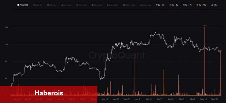 Ünlü Kestirimci, Sıradaki Bitcoin Boğası İçin Tarih Verdi!