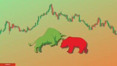 Ünlü Kripto Para Balinası: Bu Altcoin Fırlayacak!