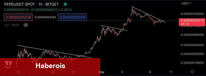 Ünlü Kripto Para Balinası, Bu Altcoinde Sıçrama Bekliyor!