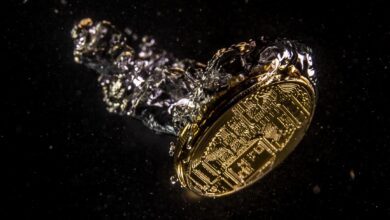 Ünlü Teşebbüs Kapitalisti: Bu Altcoin Açıkça Menkul Kıymet!