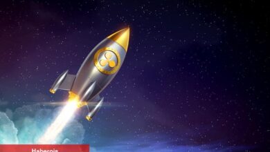 Usta Analistten Ripple Fiyatı İçin Görülmemiş Tahmin!