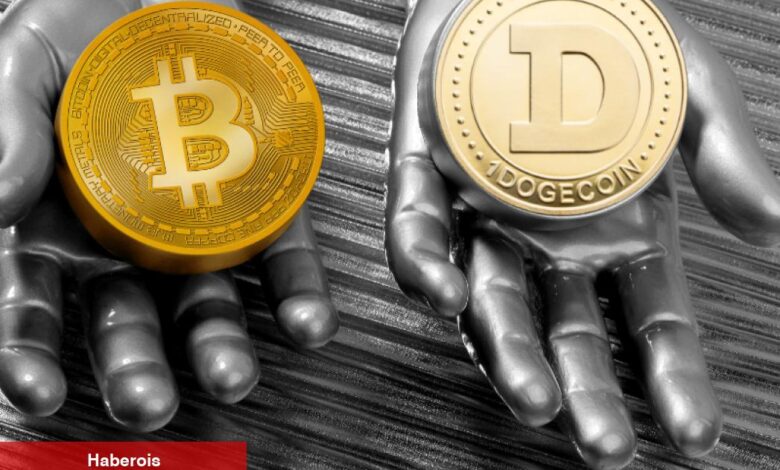 Uzman BTC, DOGE ve PEPE Yatırım Stratejisini Paylaştı!