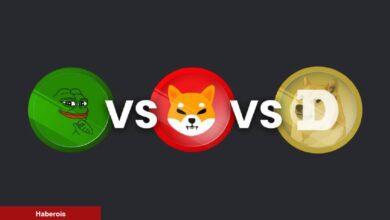 Yapay Zeka, PEPE, SHIB ve DOGE’nin Geleceğinde Ne Görüyor?