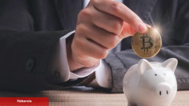 Yatırımcılar Dalgalanmaya Karşın Bu Kripto Parayı Biriktiriyor!