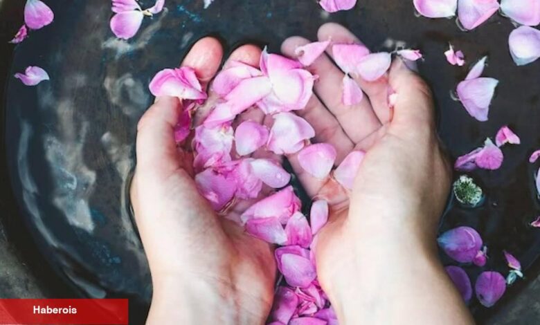 Yüzünüzü mermer üzere yapacak mükemmel maske tarifi! Aloe Vera ve Gül suyu yüz maskesi - Haberois Yüzünüzü mermer üzere yapacak mükemmel maske tarifi! Aloe Vera ve Gül suyu yüz maskesi