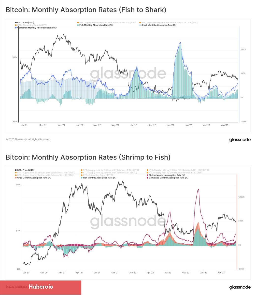 3 Kritik Metrik, Bitcoin Fiyatının Sıradaki Adımını Belirledi!