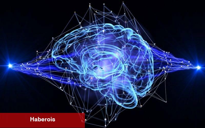 4. Nörobilim ve Tıp Kongresi Başladı.
