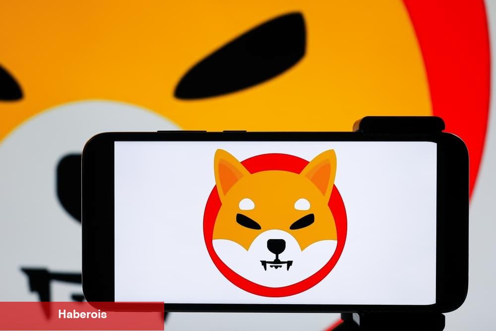 55 FinTech Uzmanından İnanılmaz Shiba Inu Tahmini!