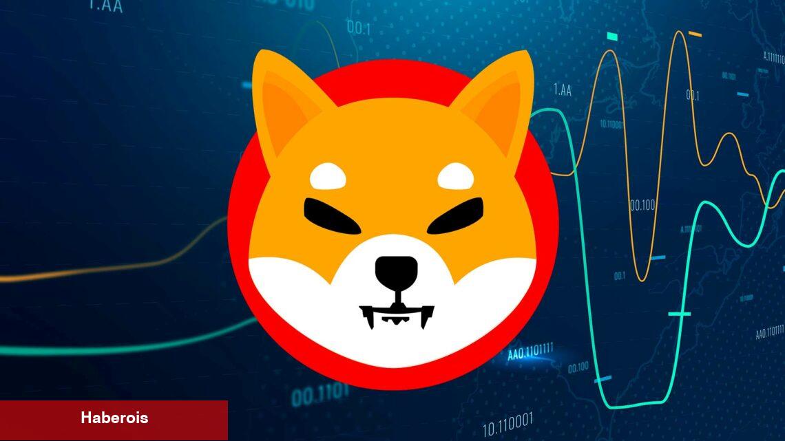 ABD’li Siyasetçi: PEPE Bile Bu Altcoin’in Başarısına Erişemez!