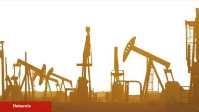 AB'nin petrol yaptırımlarına Hindistan tahlili