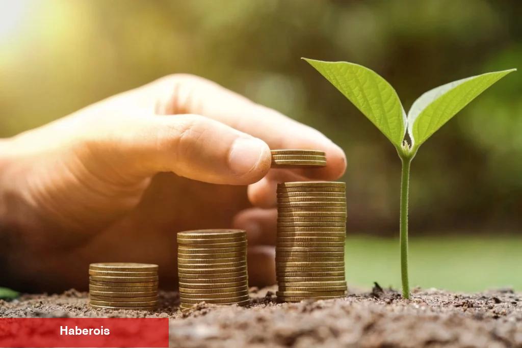 Altcoin Avcıları Dikkat: İşte Tabandan Toplanacak 10 Coin!