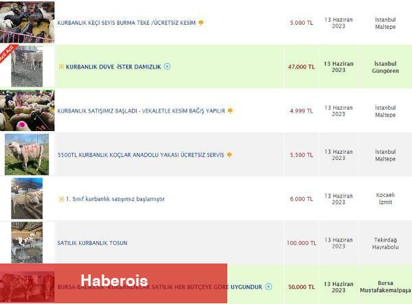Aman dikkat! Kurban Bayramı öncesi dolandırıcılar iş başında!