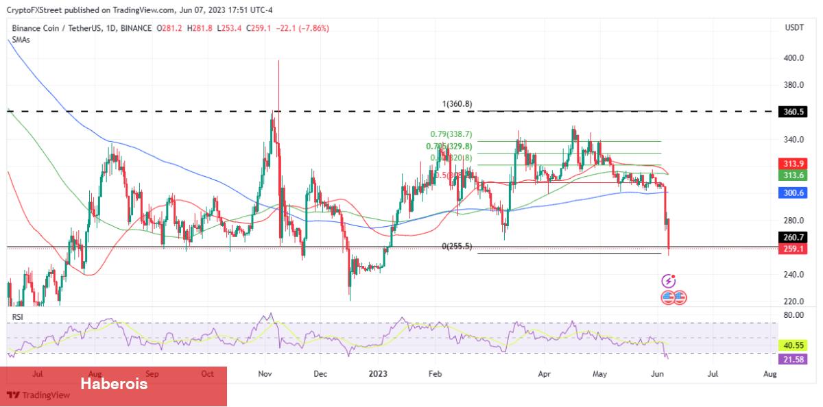 Analistler: Bu 6 Altcoin Birikim Fırsatı Sunuyor! - Haberois Analistler: Bu 6 Altcoin Birikim Fırsatı Sunuyor!