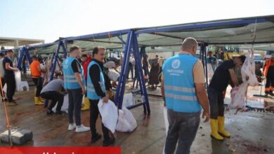 Ankara Ülkü Ocakları 400 kurban kesti