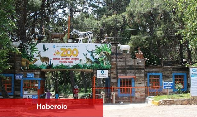 Antalya'da 'Hayvanat Bahçeleri' Toplantısı