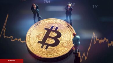 Araştırma: Bitcoin Fiyatı, Bu Tarihe Kadar Yükselmeyebilir!