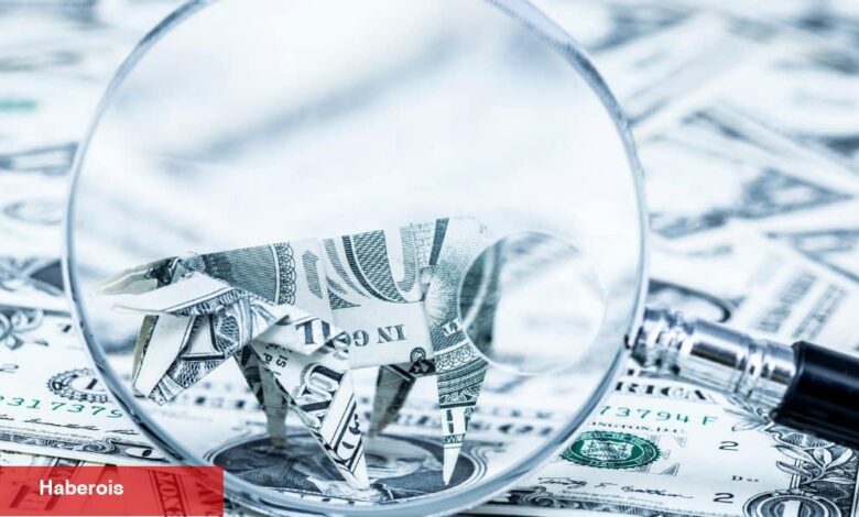 Artık Hangi Altcoinler Biriktirilir? İşte Coin İsimleri! - Haberois Artık Hangi Altcoinler Biriktirilir? İşte Coin İsimleri!