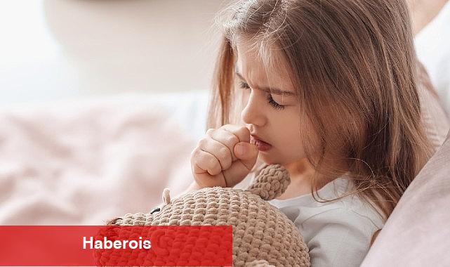Astım hastalarına özel 6 etkili öneri - Haberois Astım hastalarına özel 6 etkili öneri