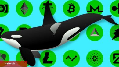 AVAX Satan Balinaların Yeni Avı Bu Altcoin Oldu!