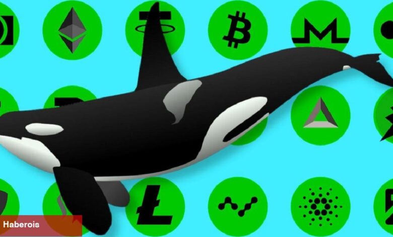 AVAX Satan Balinaların Yeni Avı Bu Altcoin Oldu! - Haberois AVAX Satan Balinaların Yeni Avı Bu Altcoin Oldu!