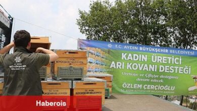 Aydın Büyükşehir Belediyesi'nden kadın arıcılara kovan desteği