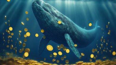 Balinalar Bu 2 Altcoin’i Tabandan Topluyor! Fiyat Fırlar mı?