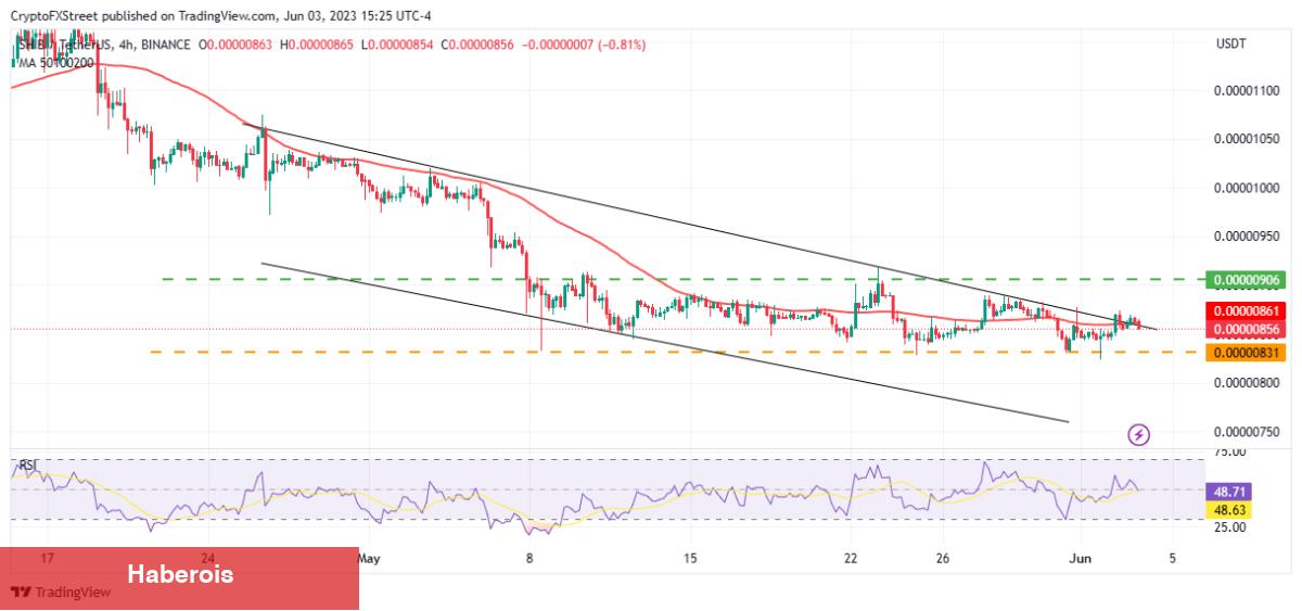 Balinaların Süratle Biriktirdiği Bu 2 Altcoin İçin Ayı Paterni! - Haberois Balinaların Süratle Biriktirdiği Bu 2 Altcoin İçin Ayı Paterni!