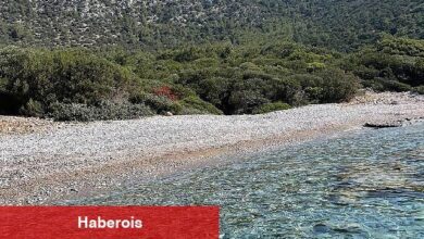 Belediyeden, ada ve koylarda temizlik