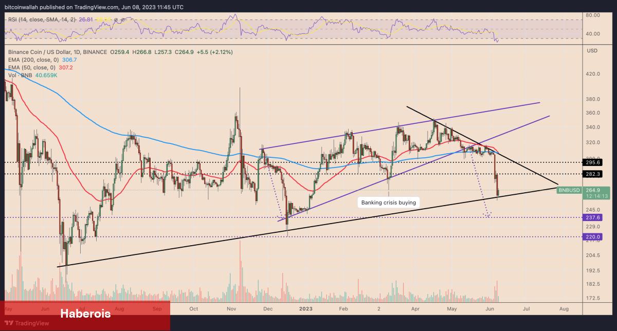 Binance ve SEC: BNB Fiyatı Ne Kadar Düşebilir? - Haberois Binance ve SEC: BNB Fiyatı Ne Kadar Düşebilir?