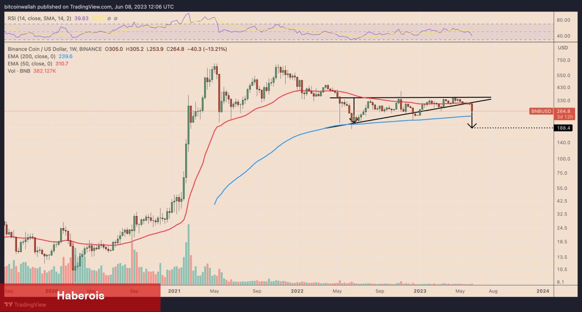 Binance ve SEC: BNB Fiyatı Ne Kadar Düşebilir? - Haberois Binance ve SEC: BNB Fiyatı Ne Kadar Düşebilir?