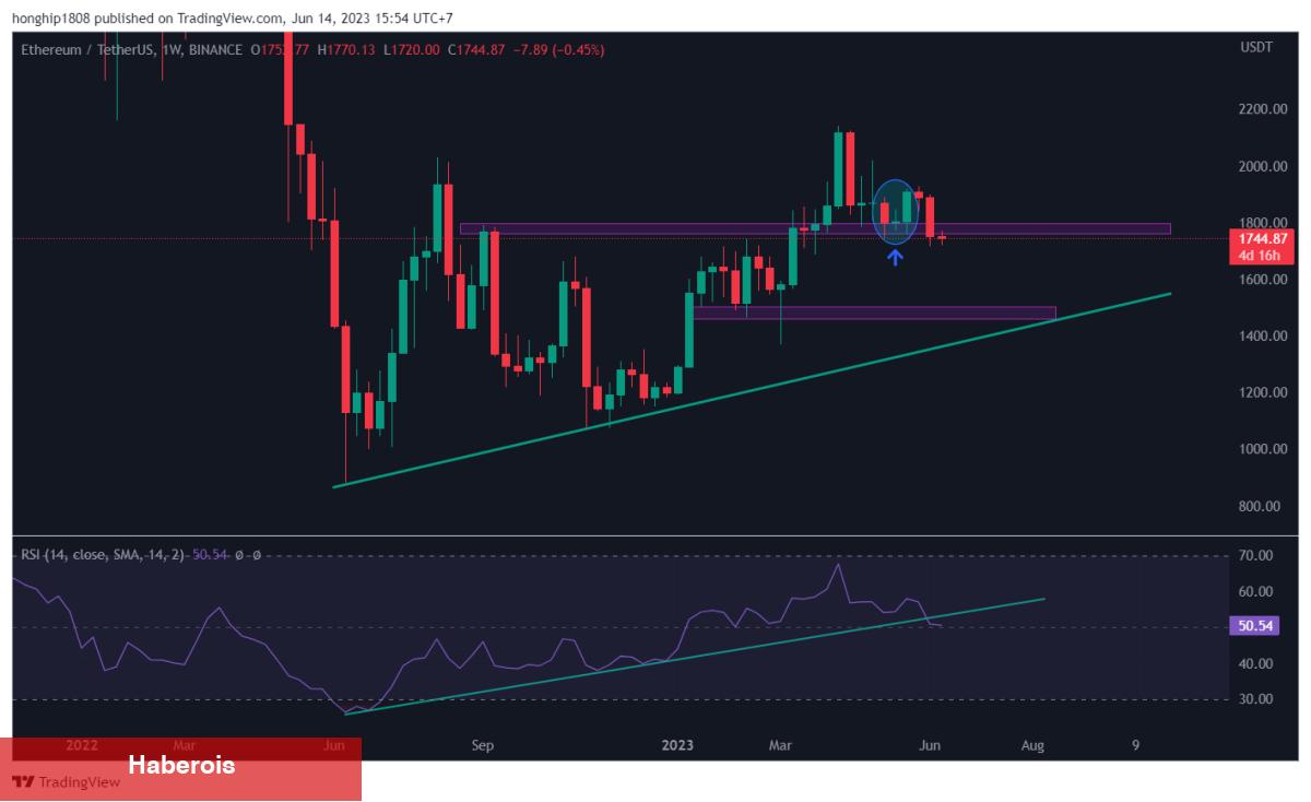 Binance’deki Bu 5 Altcoin Ayı Paterni Çiziyor! Ne Kadar Düşer?