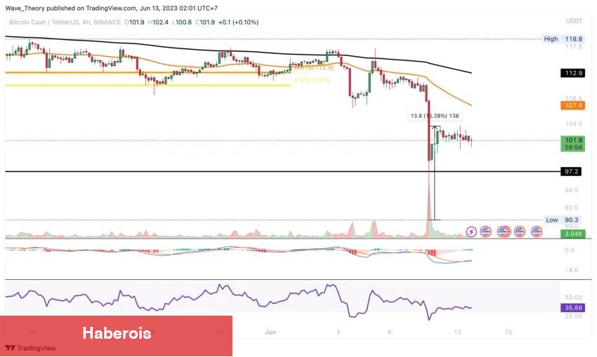 Binance’deki Bu 5 Altcoin Ayı Paterni Çiziyor! Ne Kadar Düşer?