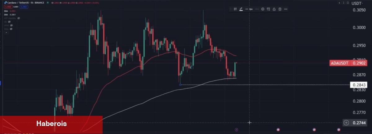 Binance’deki Bu 6 Altcoin Patlama Yapmaya Hazırlanıyor! - Haberois Binance’deki Bu 6 Altcoin Patlama Yapmaya Hazırlanıyor!