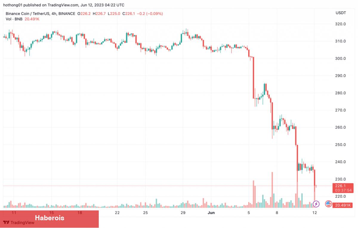 Binance’deki Bu Altcoin İçin Short Çılgınlığı! Çöker mi? - Haberois Binance’deki Bu Altcoin İçin Short Çılgınlığı! Çöker mi?