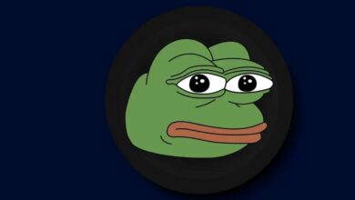 Binance’den PEPE Yatırımcılarını Üzen Haber Geldi!