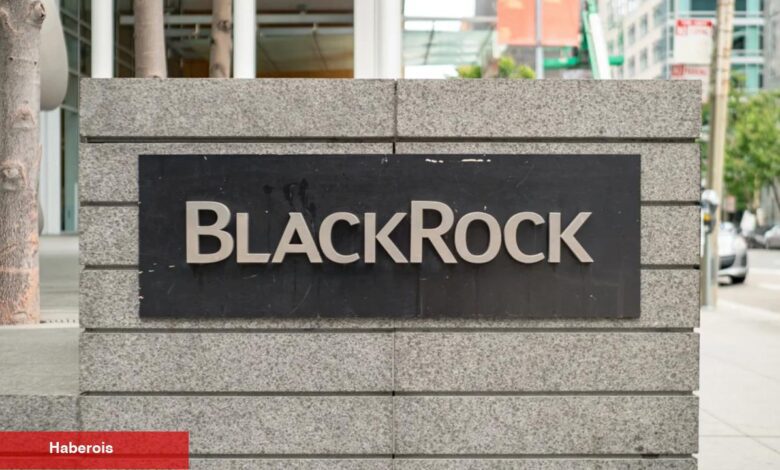 BlackRock ETF Haberi Ne Kadar Tesirli? Santiment Cevapladı…