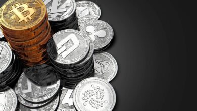 BTC Değil! Gürcistan, Bu Altcoin ile Ortak Oldu!