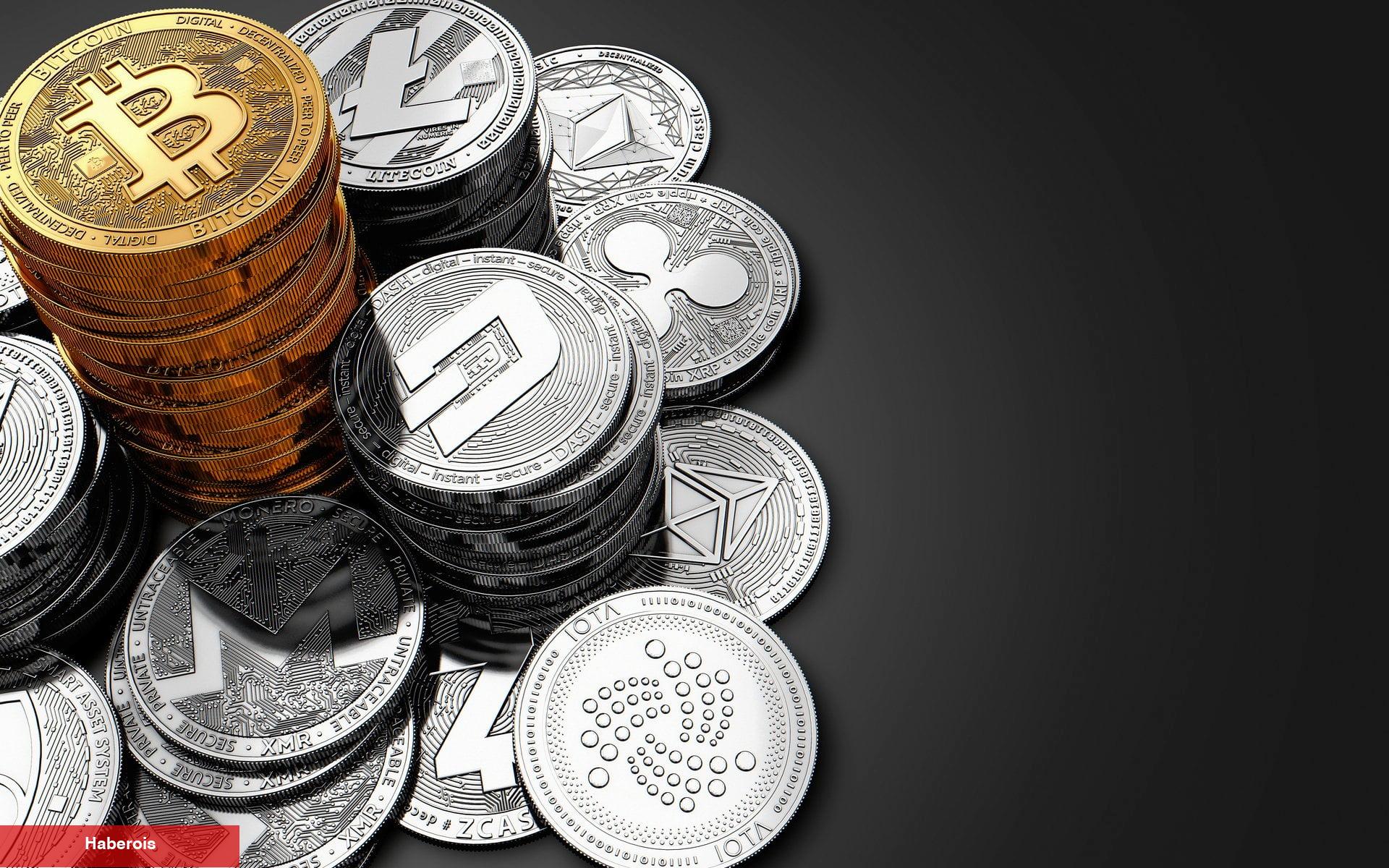 BTC Değil! Gürcistan, Bu Altcoin ile Ortak Oldu!