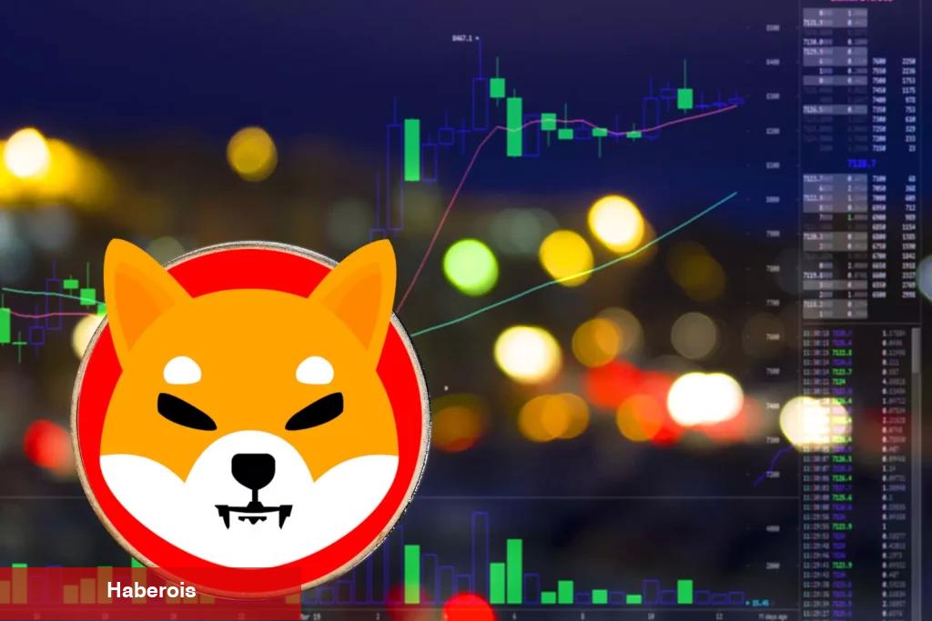 Bu Altcoin, Piyasa Çöküşünün Ortasında Milyoner Yaptı!