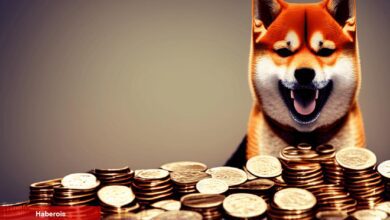 Bu Göğüs Coin Uçuşa Geçerken, SHIB’den Olumlu Sinyaller Var