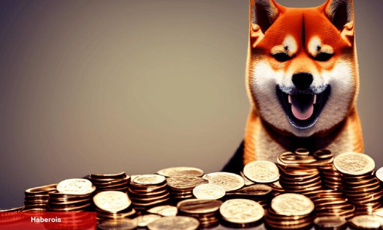 Bu Göğüs Coin Uçuşa Geçerken, SHIB’den Olumlu Sinyaller Var - Haberois Bu Göğüs Coin Uçuşa Geçerken, SHIB’den Olumlu Sinyaller Var