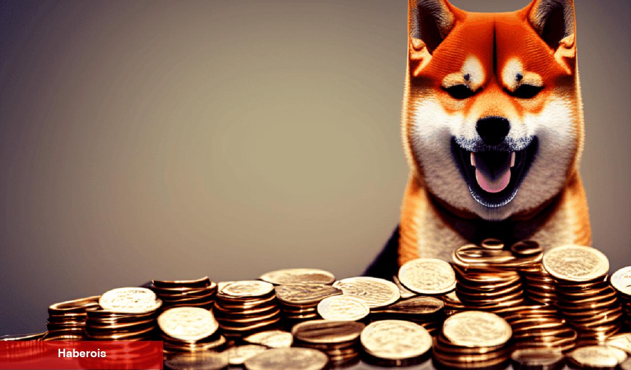 Bu Göğüs Coin Uçuşa Geçerken, SHIB’den Olumlu Sinyaller Var