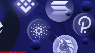 Bugün Bu 53 Altcoin İçin Kritik: İşte Olacaklar Listesi!